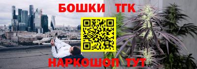 Альфа ПВП Будённовск
